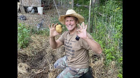 Spuds Unearthed: Harvesting & Curing Potatoes