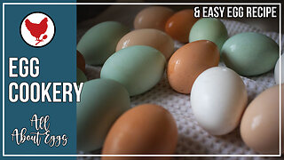 Egg Cookery | Home Ec with Constance