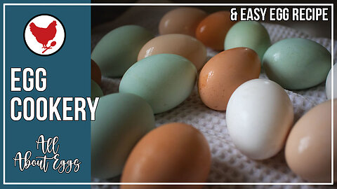 Egg Cookery | Home Ec with Constance