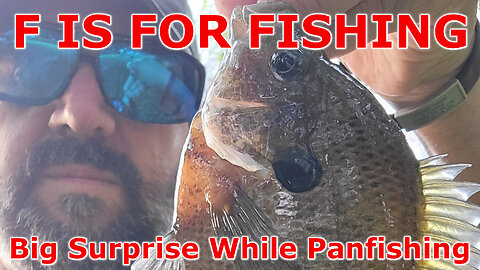 Big Surprise While Panfishing