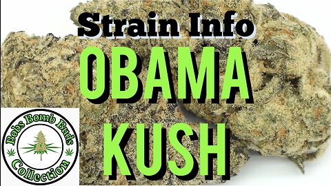 Obama Kush, Cannabis Strain. Weed Review