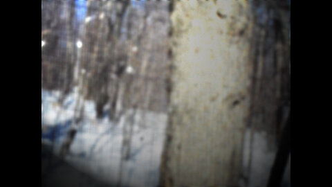 Sasquatch Sighting Feb.9th 2013