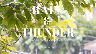 1 HR Peaceful Rain and Thunder Sounds for Stress Relief and Relaxation!!!