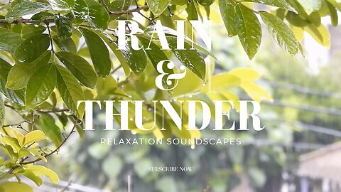 1 HR Peaceful Rain and Thunder Sounds for Stress Relief and Relaxation!!!