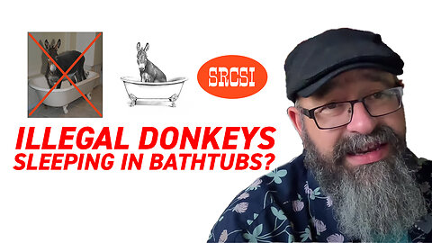 Why Is It Illegal to Let Donkeys Sleep in Bathtubs in Arizona?