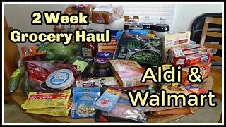 2 Week Grocery Haul ( Aldi & Walmart )
