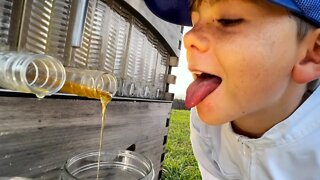 Honey straight from the hive. The Flow Hive works!