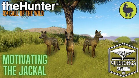 Motivate the Jackals, Vurhonga Savanna | theHunter: Call of the Wild (PS5 4K)
