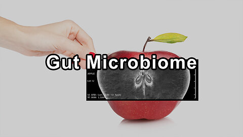 The Crucial Role of Gut Microbiome in Immune Resilience - Pamela A. Popper, Ph.D., N.D.