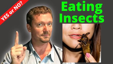 Should You Eat INSECTS? (Doctor’s Surprise Answer) 2022