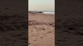 Escaping from a massive beach