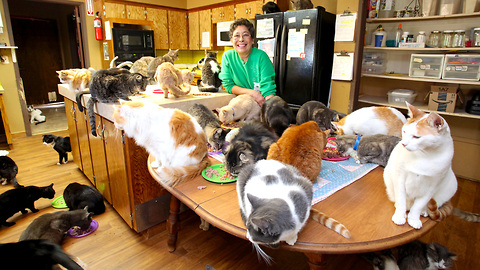 This Woman Shares Her Home With 1,100 Felines