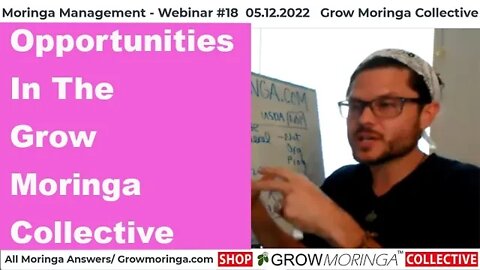 New & Exciting Opportunities In The Grow Moringa Collective Providing Education + Clarity