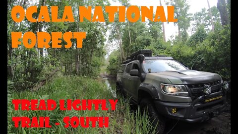 Group Ride: Ocala National Forest: Tread Lightly Trail - South - Chevy Colorado ZR2 Bison