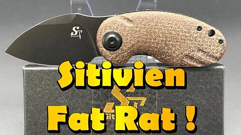 Sitivien ST153 Fat Rat !