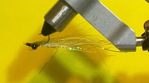 #8 Clouser Minnow Fly Tying