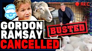 Gordon Ramsay Just TRIGGERED TikTok With A Simple Fact! The Vegan Teacher Won't Be Happy