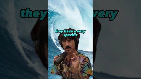 Shark Encounters and Surfer's Perspective | Joe Rogan Experience ft. Anthony Kiedis #1884