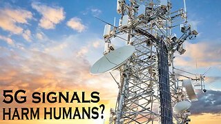 How do 5G cell phone signals harm humans?