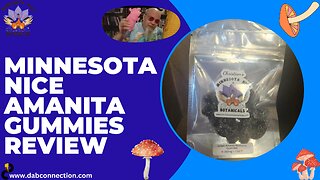 Minnesota Nice Amanita Gummies review - Excellent quality and effects!