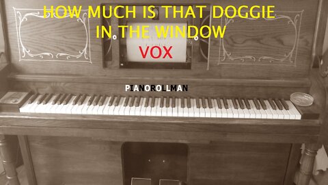 HOW MUCH IS THAT DOGGIE IN THE WINDOW - VOX