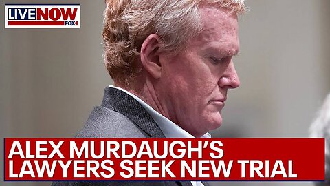 Alex Murdaugh new trial? Legal expert says it's possible | LiveNOW from FOX