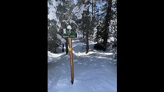 Tamarack snowshoe trail