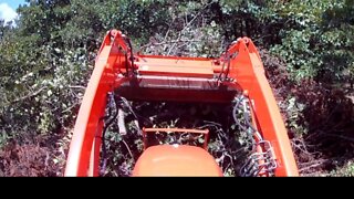 Kubota L2501 and chainsaw clearing land.