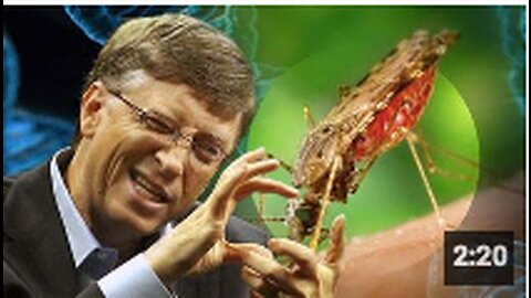 BILL GATES - This is Bill’s mosquito factory in Colombia. It’s the largest in the world.