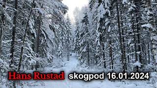 Skogpod 16. januar 2024