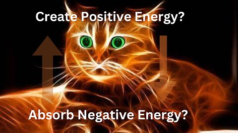 The Connection Between Cats and Energy : How Your Feline Friend Can Help Absorb Negative Energy