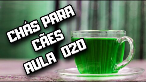 Chá de Dente-de-Leão para Cães: aula 020 | Dr. Edgard Gomes | Alimentação natural para Cães