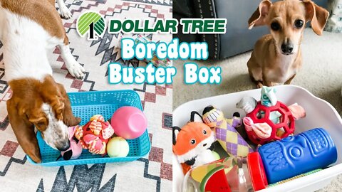 Dollar Tree DIY - Snuffle Busy Bin for your Dog