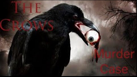 The Crows Murder Case Full Story