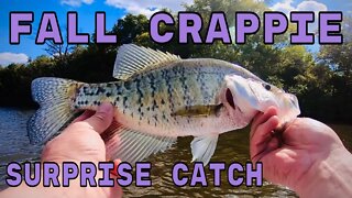 Fall fishing with a surprise catch! (spinnerbaits, squarebills, swimbaits)