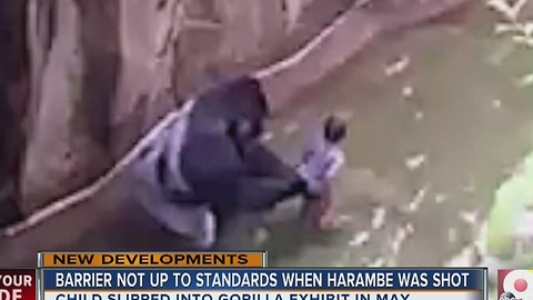 Zoo barrier not up to standards when Harambe shot