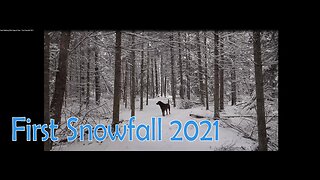 Bush Walking With Gage & Gary - First Snowfall 2021