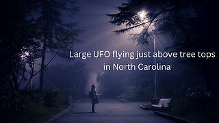 Large UFO just above trees