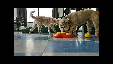 Puzzle Party with the Pups!