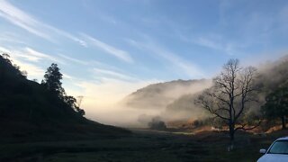 Good morning from winter paradise in down under