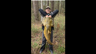 46” Flathead Catfish - Kayak Fishing