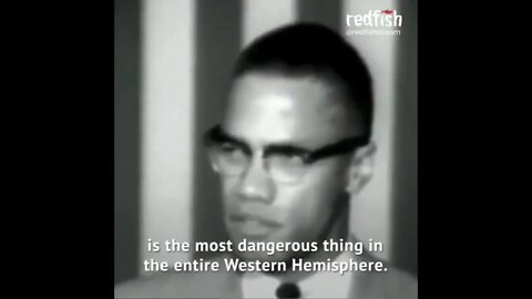 Malcolm X : "White Liberals Are The Most Dangerous Thing In The Entire Western Hemisphere"
