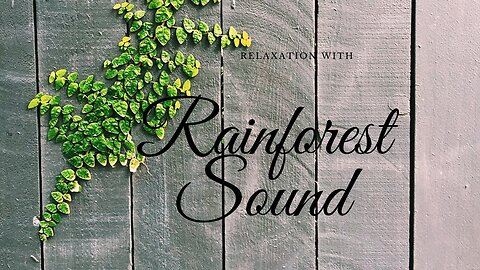 Relaxing Rainforest Showers White Noise - [Sleep, Relaxation, and Concentration]