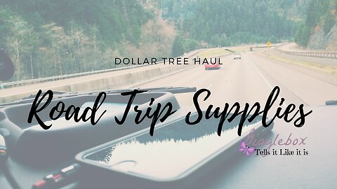 Dollar Tree Haul | Road Trip Supplies | May 29th 2019