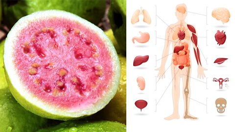 Guava Fruit and Guava Leaves Health Benefits