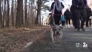 First Day Hike returns to Maryland, program goes through January 2nd