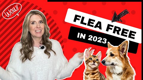 Stay Flea Free in 2023