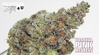 COASTAL PINK STRAIN REVIEW | THC REVIEWS 4 U - ELEPHANT GARDEN