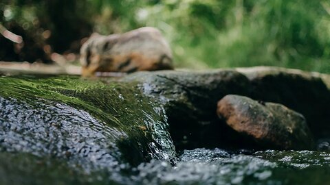 Musik Relaksasi Untuk Tidur: Terapi Otak Dengan Suara Alam Full | Relaksasi Tidur Untuk