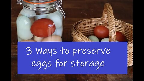 3 Ways to preserve eggs for food storage